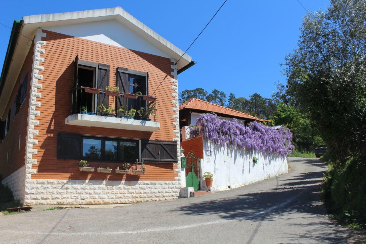 Casa Da Avó - Vale da Silva Villas Albergaria-a-Velha Exterior foto